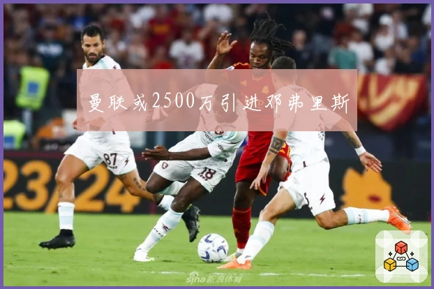曼联或2500万引进邓弗里斯
