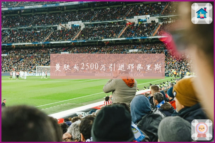 曼联或2500万引进邓弗里斯