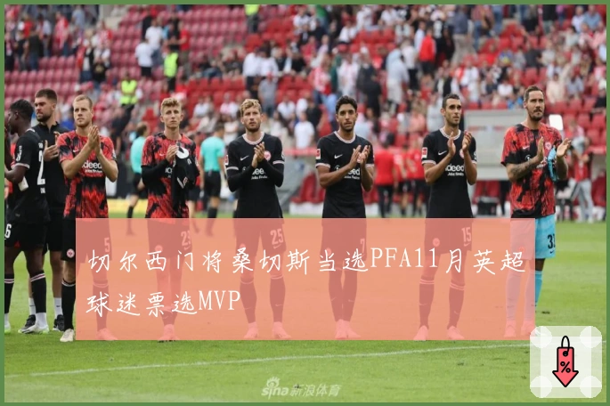 切尔西门将桑切斯当选PFA11月英超球迷票选MVP